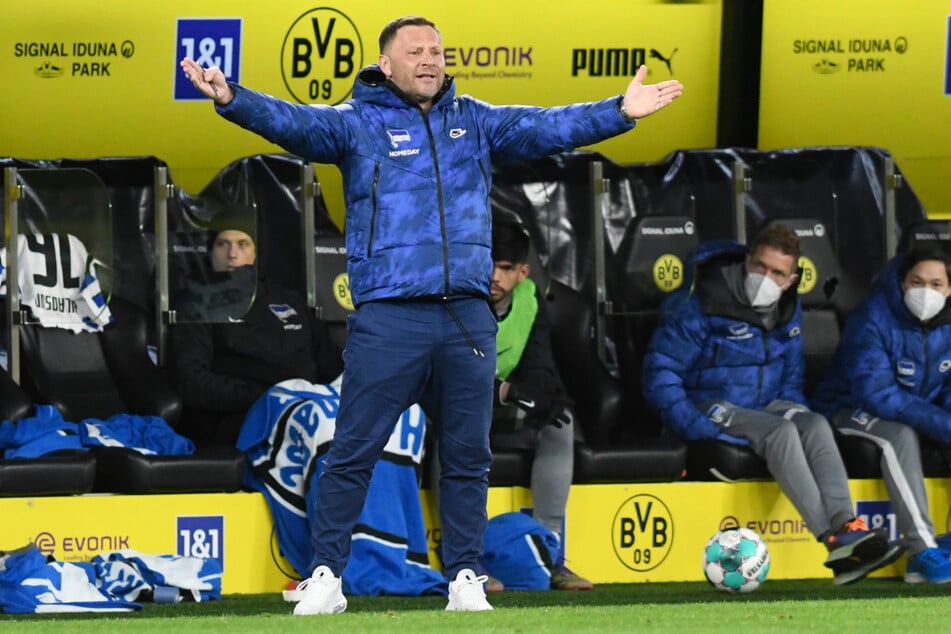 Pal Dardai (45) kassierte bei Borussia Dortmund die nun schon fünfte Niederlage aus sieben Spielen als neuer Hertha-Trainer.