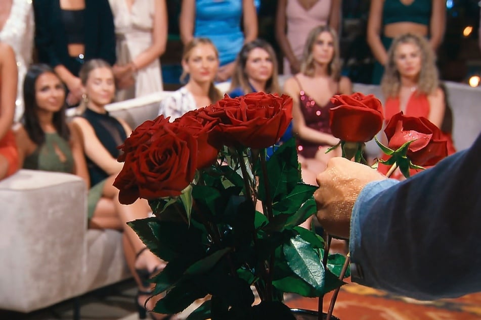 Dominik muss in der Nacht der Rosen wieder die Qual der Wahl treffen.