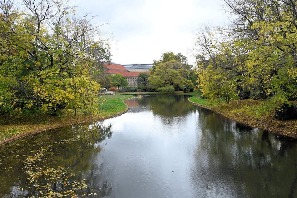 Eine Umzäunung des Areals um den Schwanenteich nach Berliner Vorbild lehnt die Leipziger Stadtverwaltung jedoch ab. (Archivfoto)