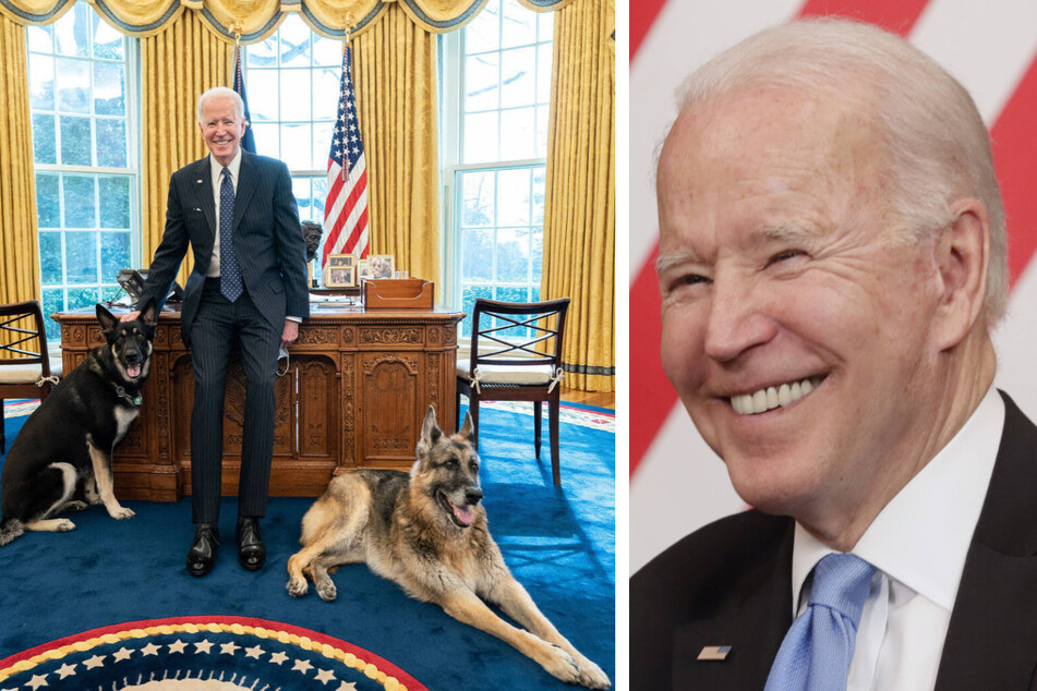 President Joe Biden (r.) moved into the White House this year with Champ and Major (l.), but on Monday, he welcomed a new German Shepard puppy in their stead.