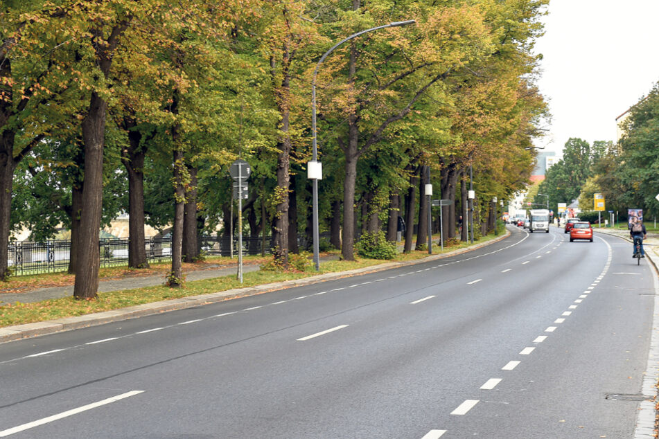 Erst vor wenigen Tagen mussten hier am Terrassenufer Autoparkplätze einem Radweg weichen.