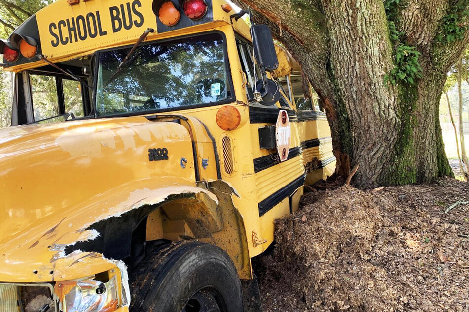 Der Bus krachte in den massiven Baum, blieb dort letztlich stecken.