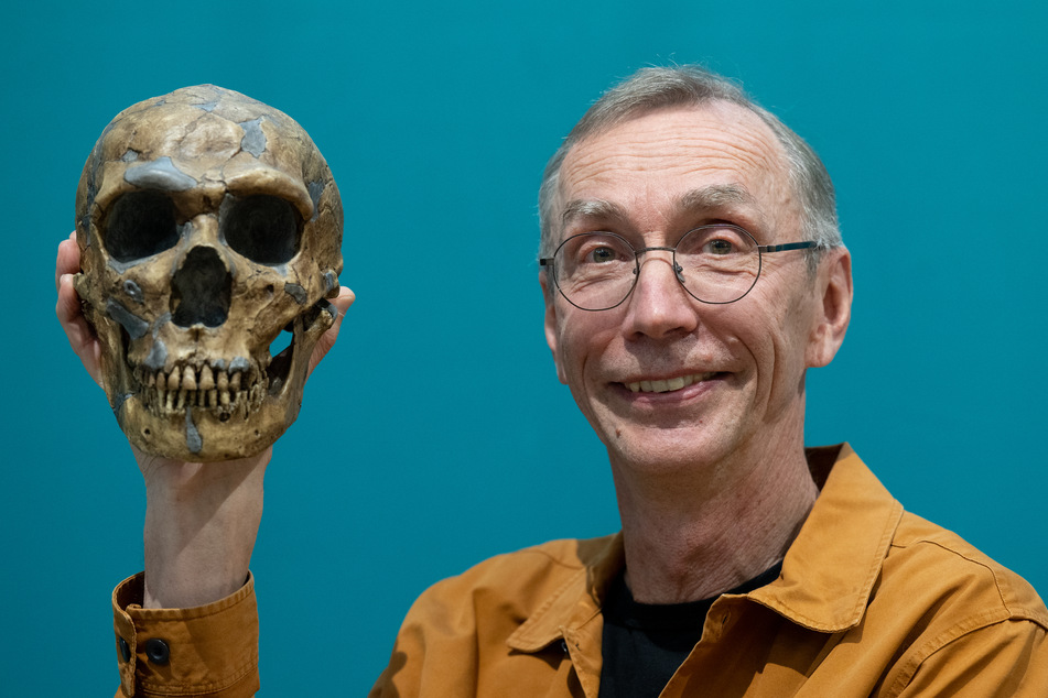 Der Leipziger Nobelpreisträger Svante Pääbo mit der Nachbildung eines Neanderthaler-Schädels. Am Samstag erhält Pääbo seinen Preis in der Kategorie Medizin.