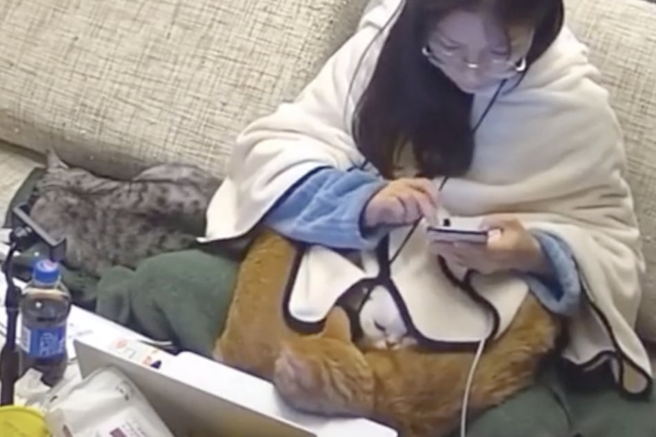 As the video progresses, viewers see the woman has more than one furry co-worker.