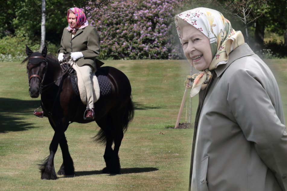 Nach wochenlanger Corona-Isolation: Arzt gibt Gesundheits-Update zu Queen Elizabeth