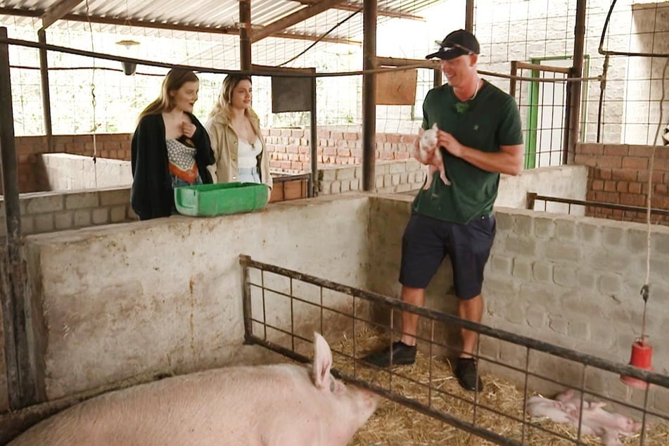 Der Namibia-Auswanderer hat auf seiner Farm allerhand Tiere zu versorgen, darunter auch ein paar kleine Ferkel.