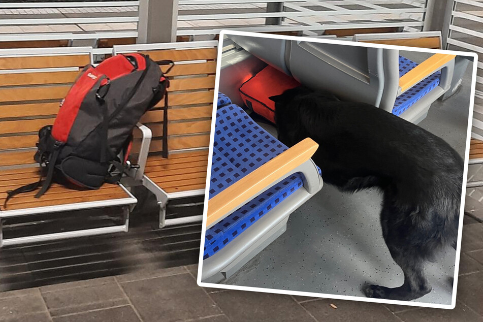Ein Fall für Spürhund Yukon: Vergessener Rucksack löst Alarm auf dem Hauptbahnhof Magdeburg aus