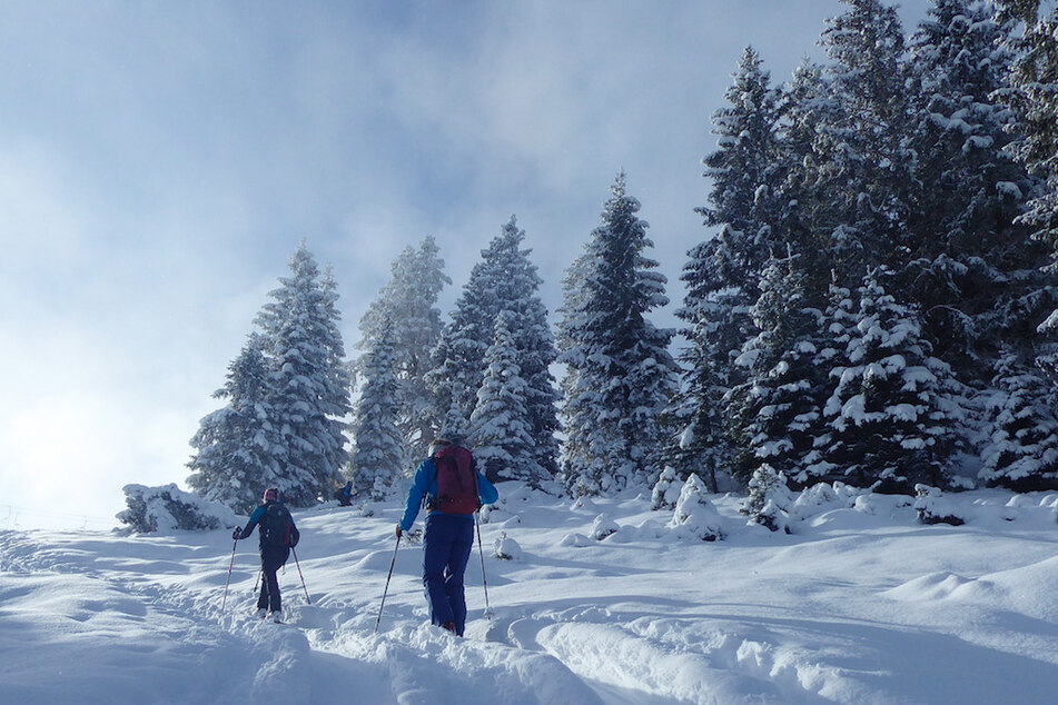 Bei Garmisch-Partenkirchen genießen Skitourengeher den frischen Schnee.