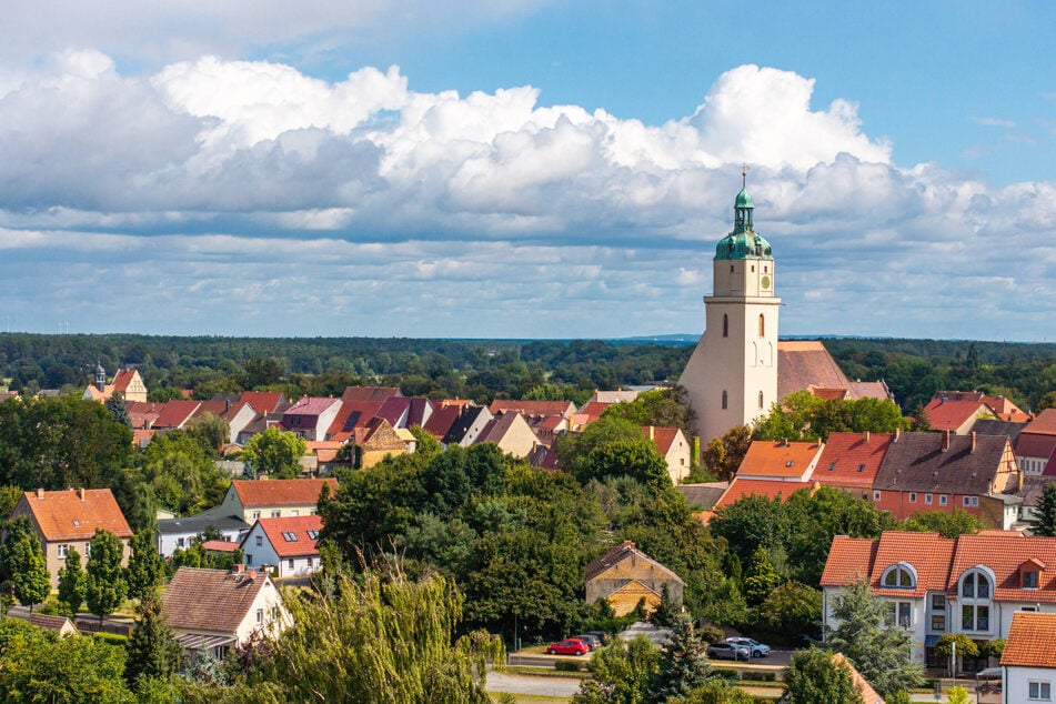Der Qualitätswanderweg Heide-Biber-Tour führt bis nach Bad Schmiedeberg in Sachsen-Anhalt.
