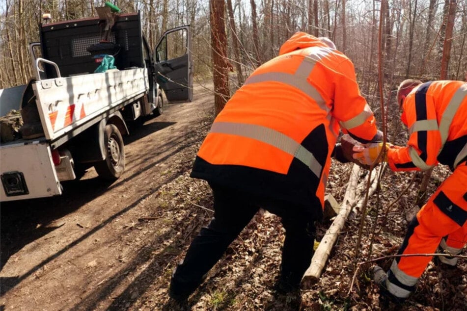 Unter anderem konnten ganze 21 Kubikmeter Sperrmüll fachgerecht entsorgt werden.