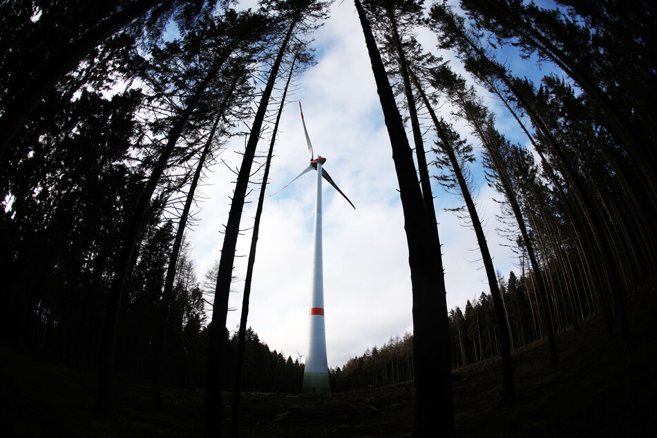 "Anti-Nabu-NRW-Demo": Windkraft-Unternehmer wollen gegen Naturschutzbund demonstrieren