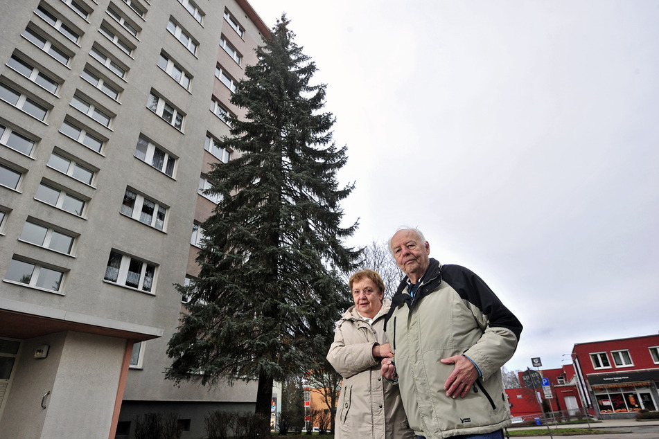 Hansjochen (78, r.) und Garry-Maria Müller (76) sind sauer. Ihre geliebte 50-jährige Fichte wurde am Dienstag gefällt.