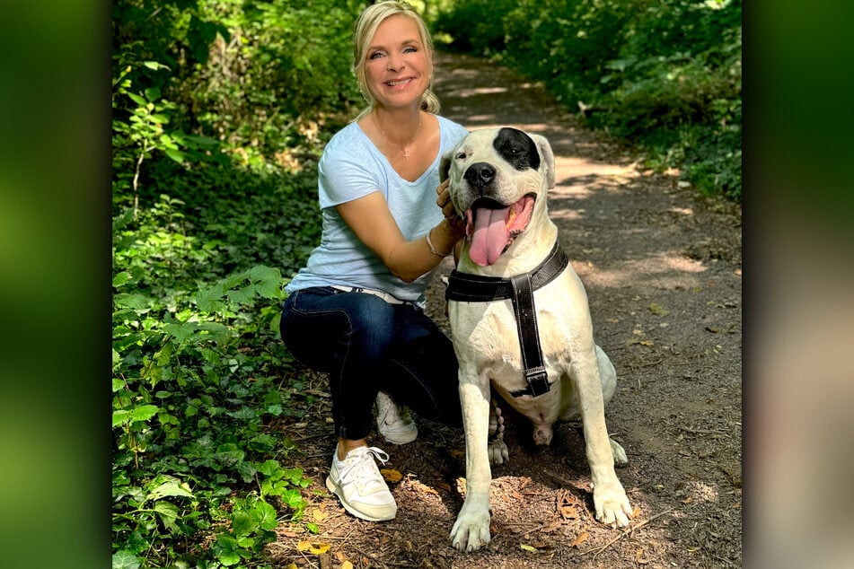 Möchte nach der dritten "Tierisch tierisch"-Vorstellung endlich vermittelt werden: Casper (9), hier mit MDR-Moderatorin Uta Bresan (59).