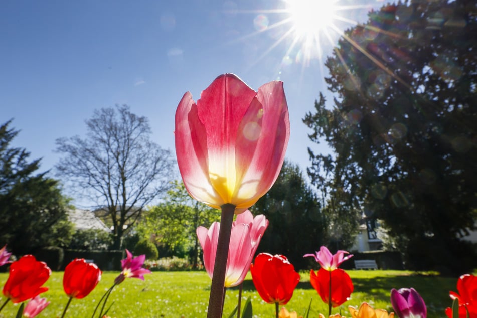 Sonne genießen, solange sie da ist: Wetter kippt in NRW schon bald