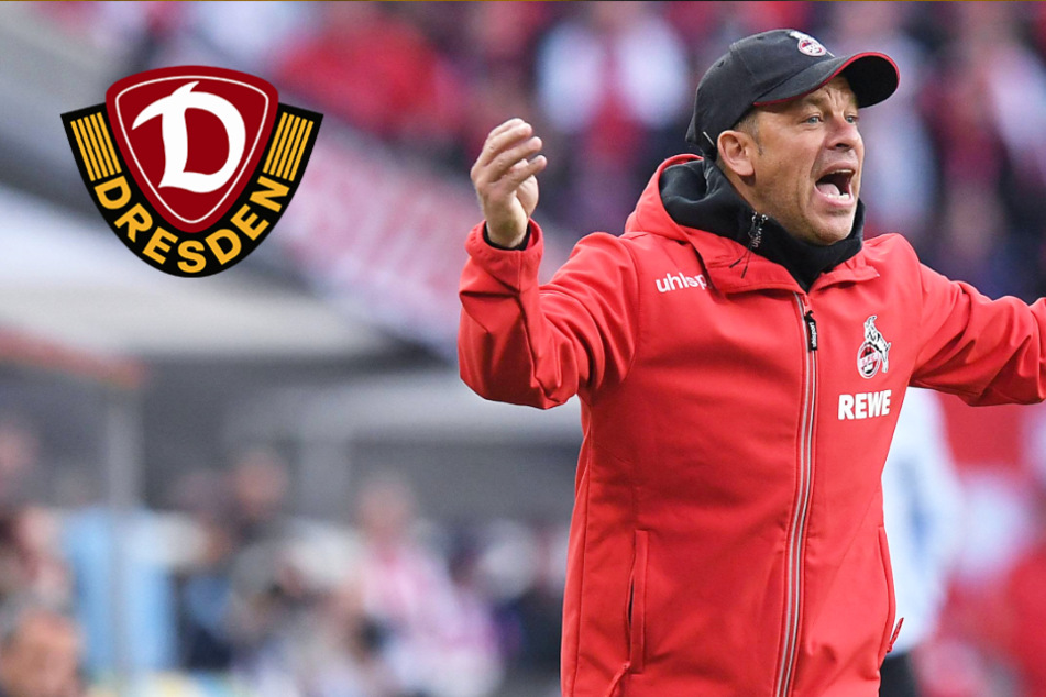 Kuriose Gemeinsamkeit vor Dynamo-Duell: Beide Trainer auf Platz eins entlassen