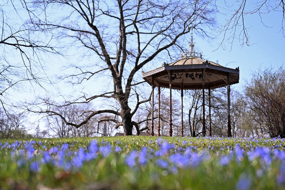 Die milderen Temperaturen laden zu Spaziergängen im Park ein, wie hier im Palmengarten in Leipzig.