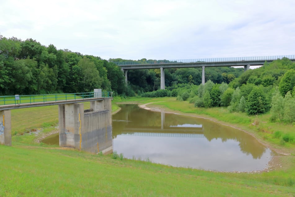 Den See quert die 228 Meter lange Gebergrundbrücke der A17: Auch im Sommer hat die Talsperre Kauscha wie hier 2020 einen auffällig niedrigen Wasserstand. (Archivfoto)