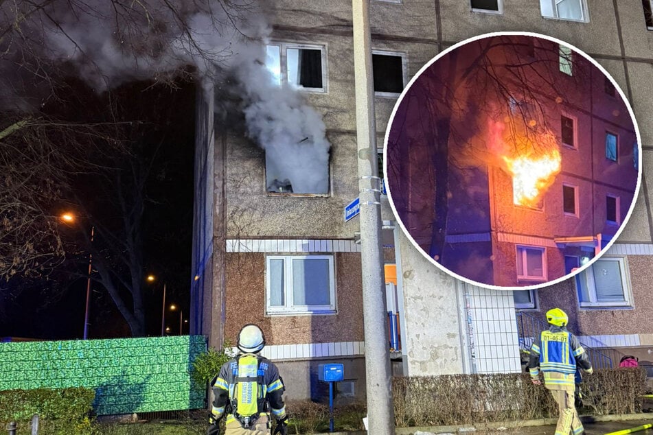 Brennendes Haus in Magdeburg: Bewohner springt aus Fenster und verletzt sich schwer