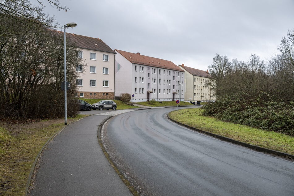 Auf der Jahnstraße in Leisnig ereignete sich der tödliche Unfall.