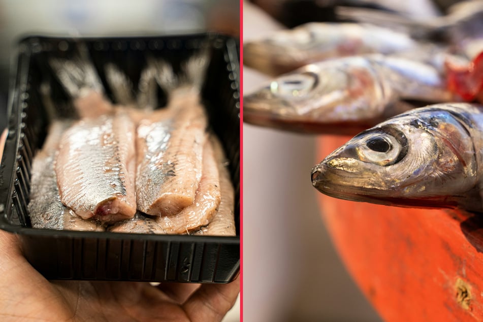 Fish like herring and anchovies are not eaten as often as beef, but they may be a healthier option.