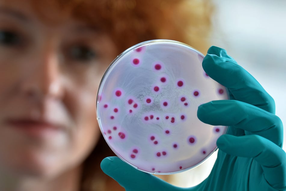 E.-coli- und Klebsiella-Bakterien sind bei Betroffenen besonders häufig. (Symbolfoto)