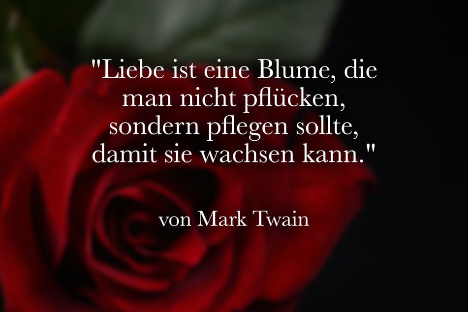 Mark Twain stellte fest: "Liebe ist eine Blume, die man nicht pflücken, sondern pflegen sollte, damit sie wachsen kann."