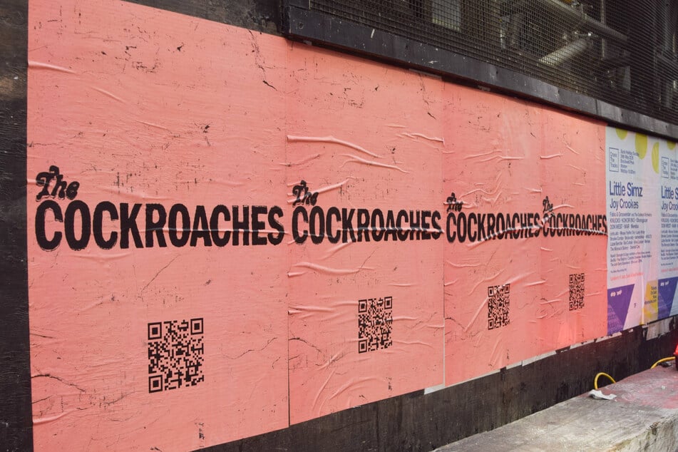 The "Cockroaches" have launched a new Instagram and website, fueling further speculation.