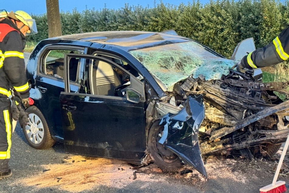 Der VW Up wurde durch die Kollision mit dem Baum völlig zerstört.