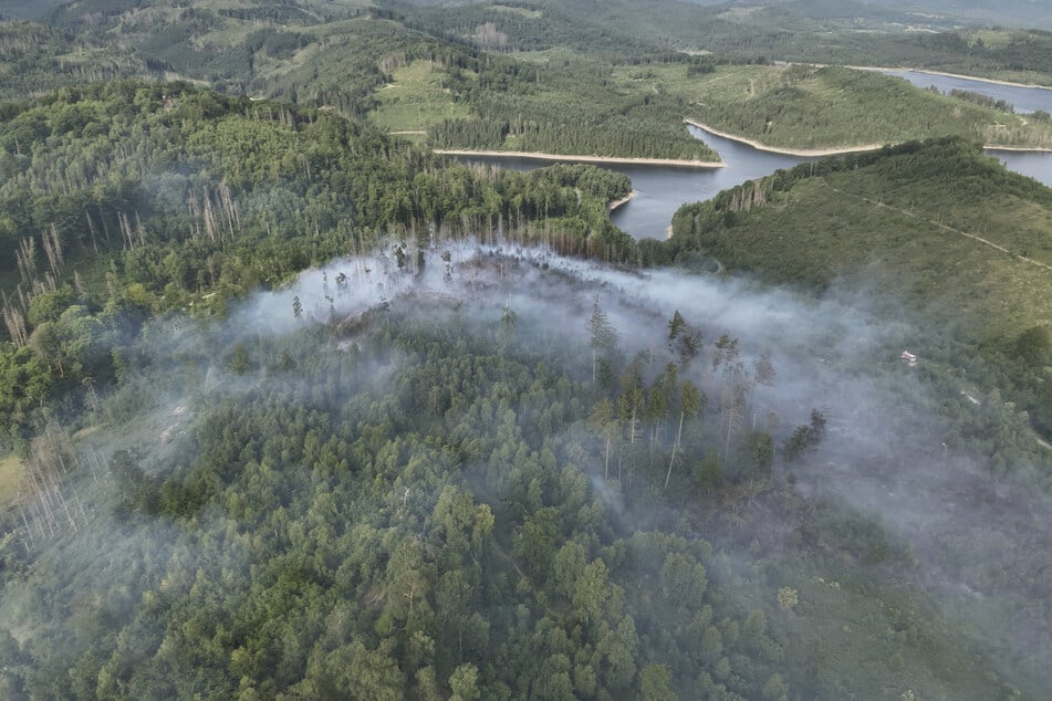 Die Flammen in einem Waldstück des niedersächsischen Harzes sind gelöscht.