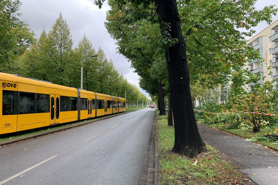 Der Straßenbahnen können wieder fahren.