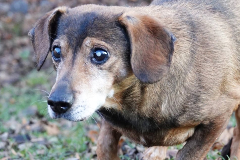 Der Kleine hat gesundheitliche Probleme ...