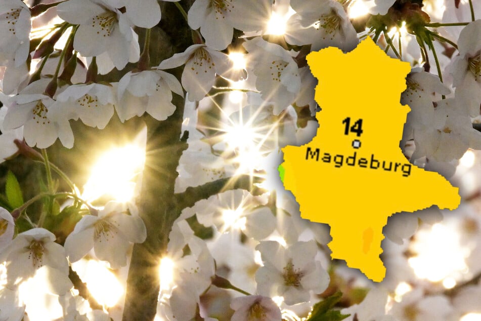 Sachsen-Anhalt steht eine sonnige Frühlingswoche bevor.