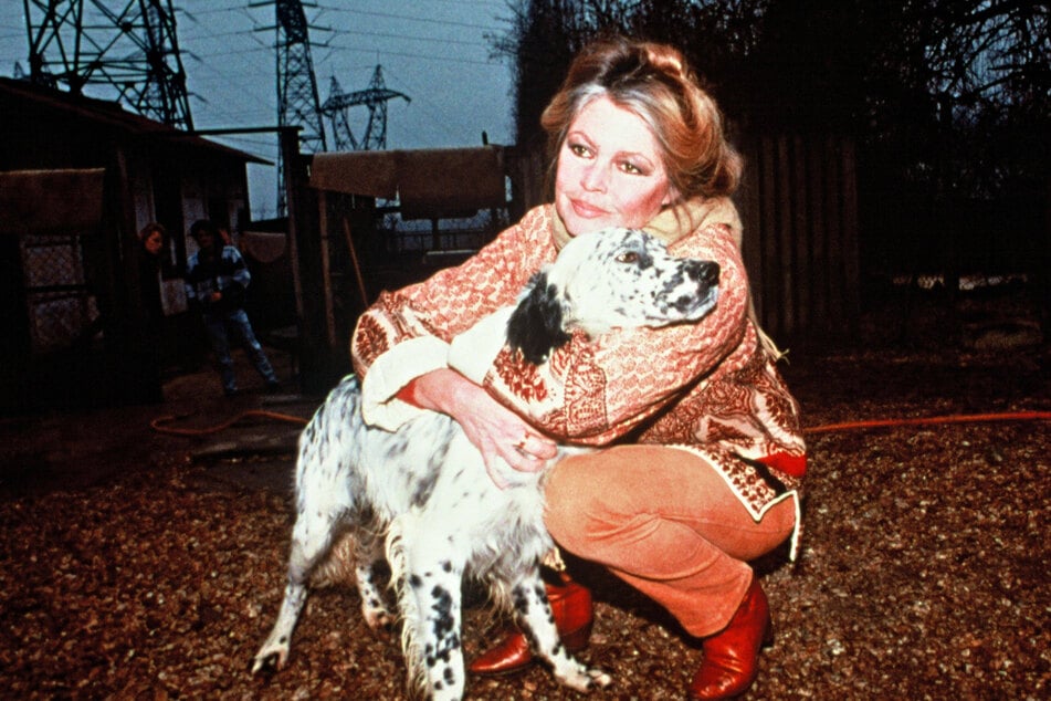 Bardot devoted herself to fighting for animals after withdrawing from the spotlight.