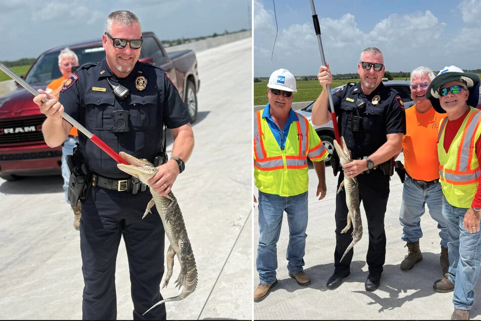 Am Dienstag entdeckten Bauarbeiter in Texas einen kleinen Alligator und kontaktierten sofort die örtlichen Behörden.