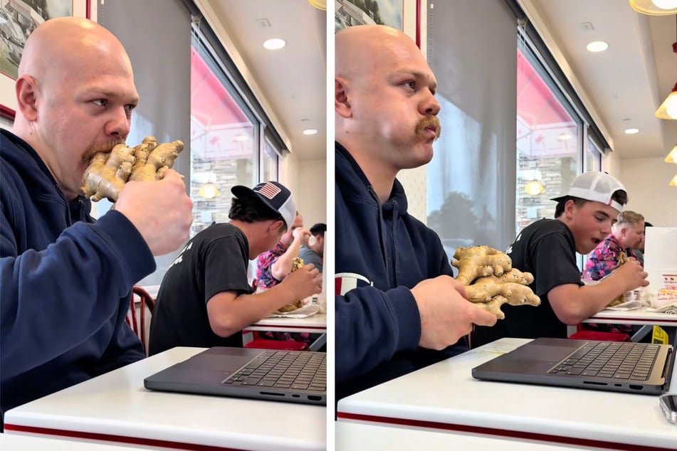 Azlan se abrió paso bocado a bocado a través del tubérculo.