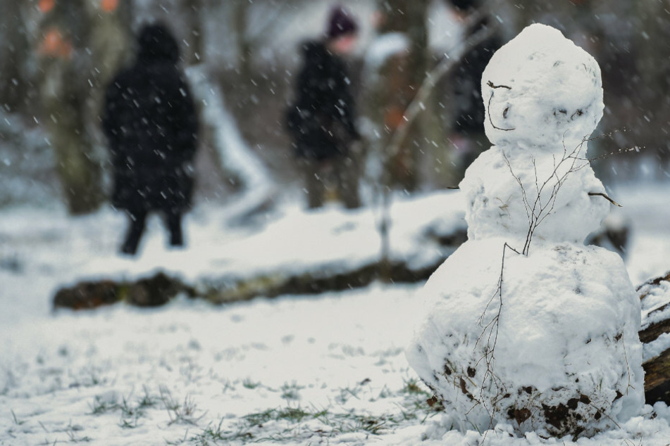 Ein kleiner Schneemann steht in einem Wald, während im Hintergrund Spaziergänger entlanggehen.