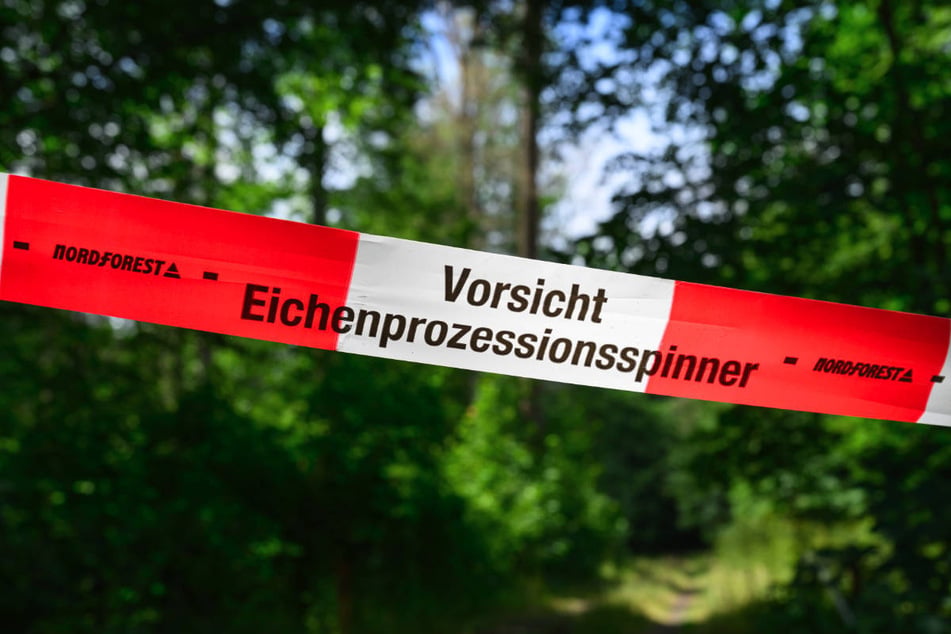 Touristen sollen durch die Sperrung von Wasserstraßen vor dem Eichenprozessionsspinner geschützt werden.