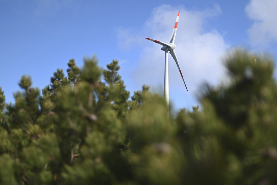 In Thüringen wurden Landtagsbeschlüsse gefällt, die den Bau von Windkraftanlagen in den Wäldern erschweren sollen. (Archivbild)