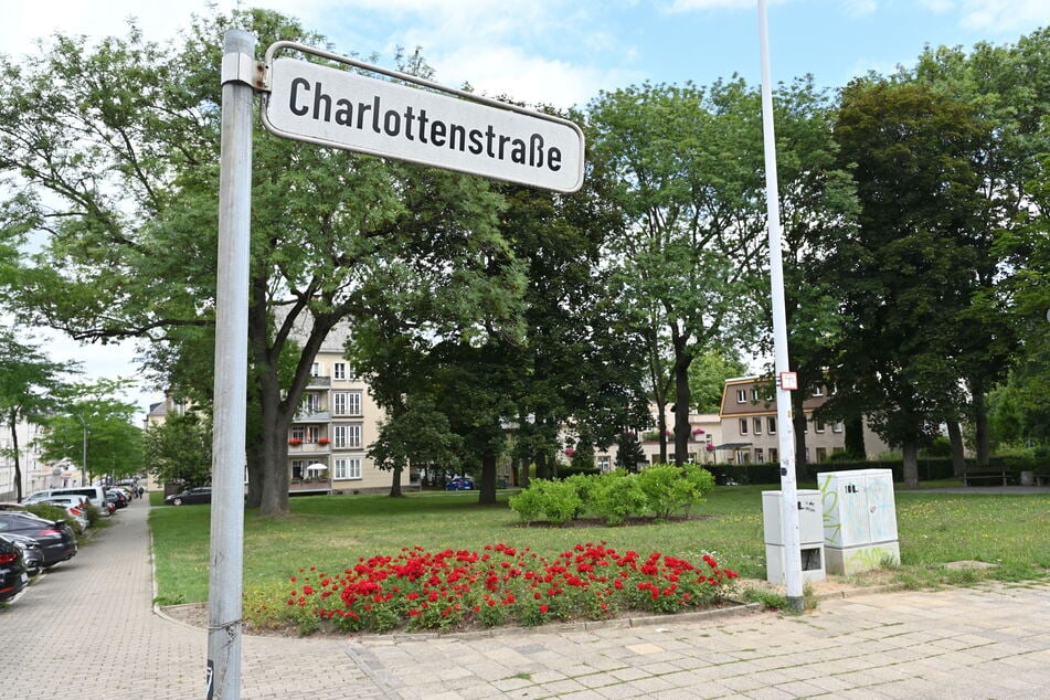 In der Charlottenstraße in Chemnitz wurde die Polizei auf einen Mann (61) aufmerksam. Er schnitt mit einem großen Messer eine Hecke - wenig später machten die Beamten eine beachtliche Entdeckung.