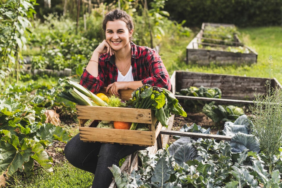 Andere Zeiten, anderes Gärtnern: Wer sich nicht immer nur hinter alten Mythen vergräbt, kann aus seinem Garten ein ganz natürliches Schmuckstück machen.