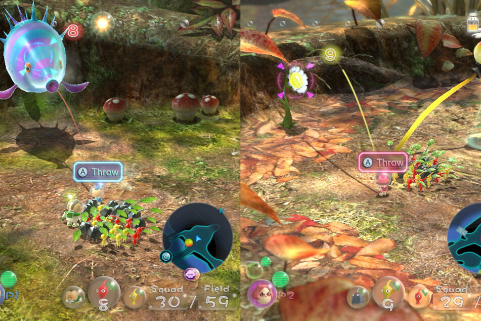 Im Koop-Modus wird im Splitscreen gespielt. Jeder Spieler kann einen der drei Hauptcharaktere steuern und mit seiner eigenen Pikmin-Armee auf die Jagd gehen.