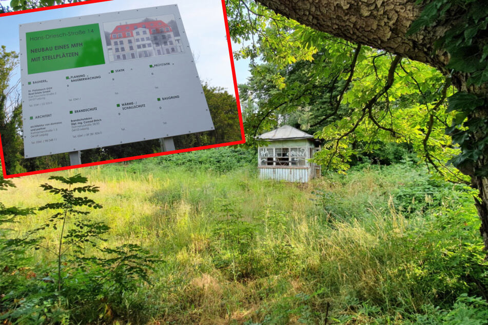 Die nächste grüne Oase, die zubetoniert werden soll: Das Areal an der Leutzscher Gärtnerei Hans-Driesch-Straße ist seit Jahrzehnten Rückzugsort für viele Tiere, darunter auch Fledermäuse.