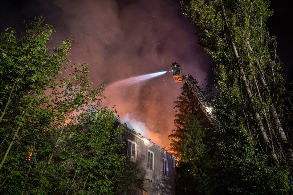 Die Feuerwehr bei Löscharbeiten. Auf die Bäume sei das Feuer nicht übergesprungen.