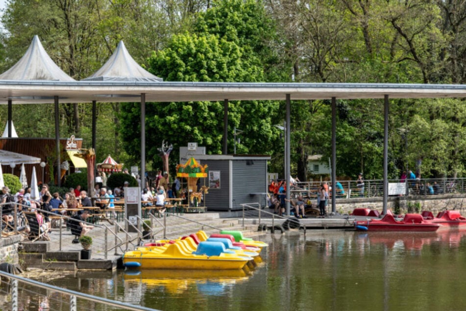 Ihr könnt unter anderem auch mit den Tretbooten über den Teich fahren.