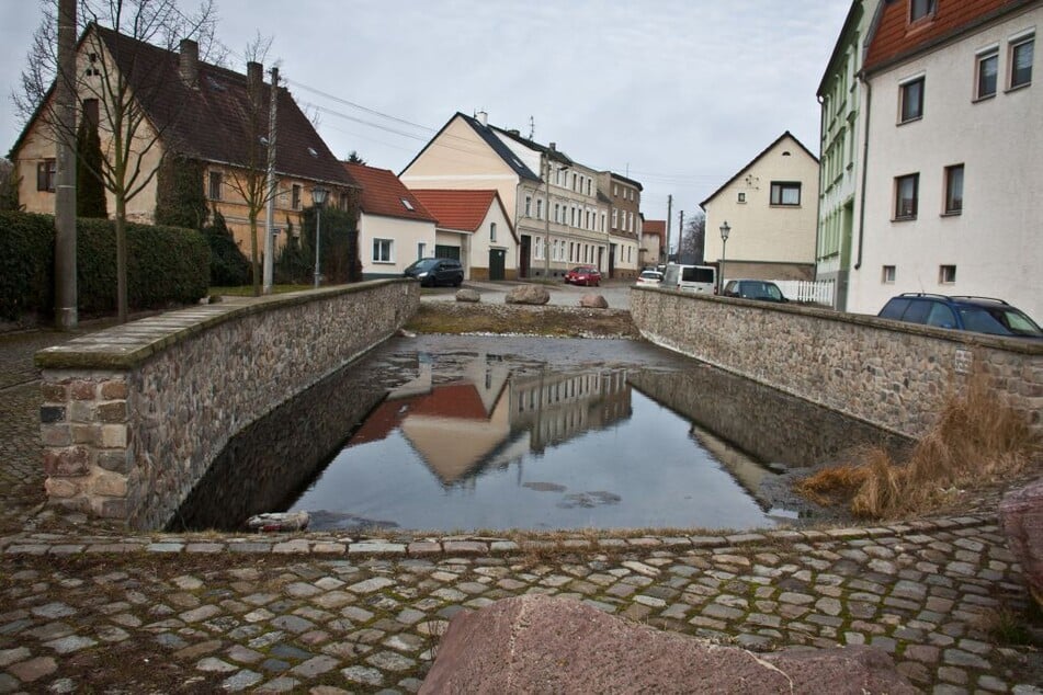 Der Magdeburger Stadtteil Ottersleben hat den Charme eines Dorfes. Dazu gehören auch die Grünflächen. (Archivbild)