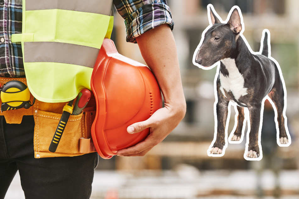 Super-Spürnase! Hund "Rudi" entdeckt bewusstlosen Mann in Baugrube
