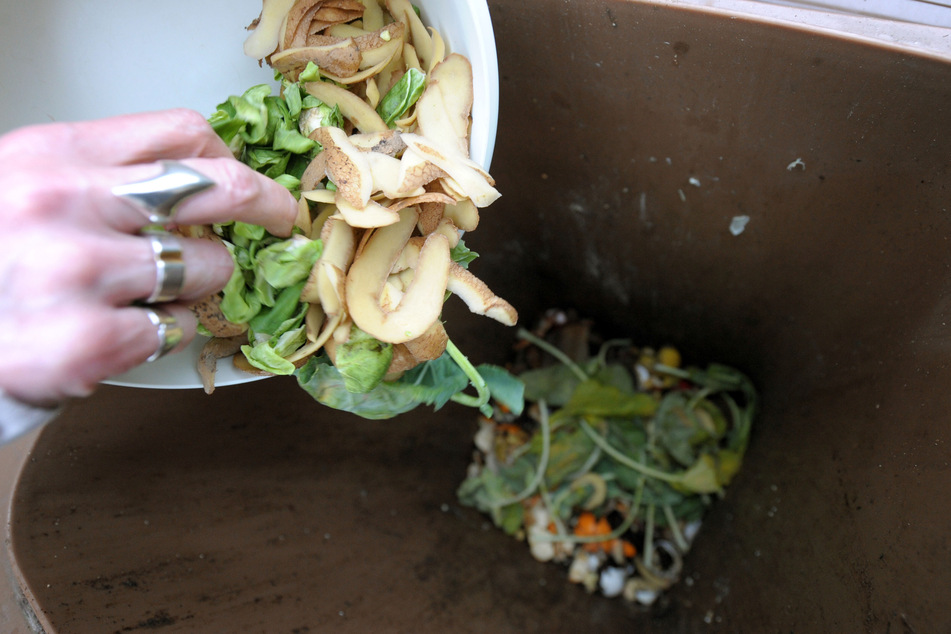 Biomüll sollte ohne Plastikbeutel in die Biotonne kommen. Viele Menschen nutzen jedoch biologisch abbaubare Müllbeutel. (Symbolfoto)
