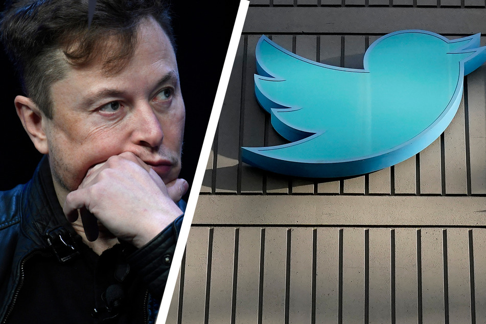 Top-Manager verlassen Twitter: Elon Musk schließt Pleite nicht aus