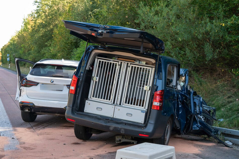 Ob die Polizei-Hunde in Mitleidenschaft gezogen, war zunächst nicht bekannt.