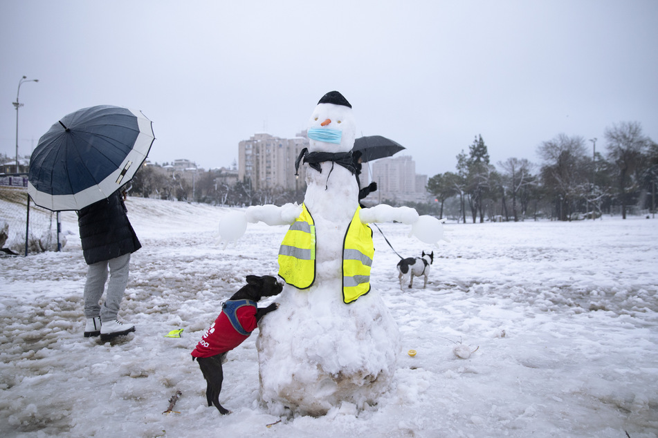 Menschen gehen mit ihren Hunden in einem verschneiten Park in Jerusalem spazieren.